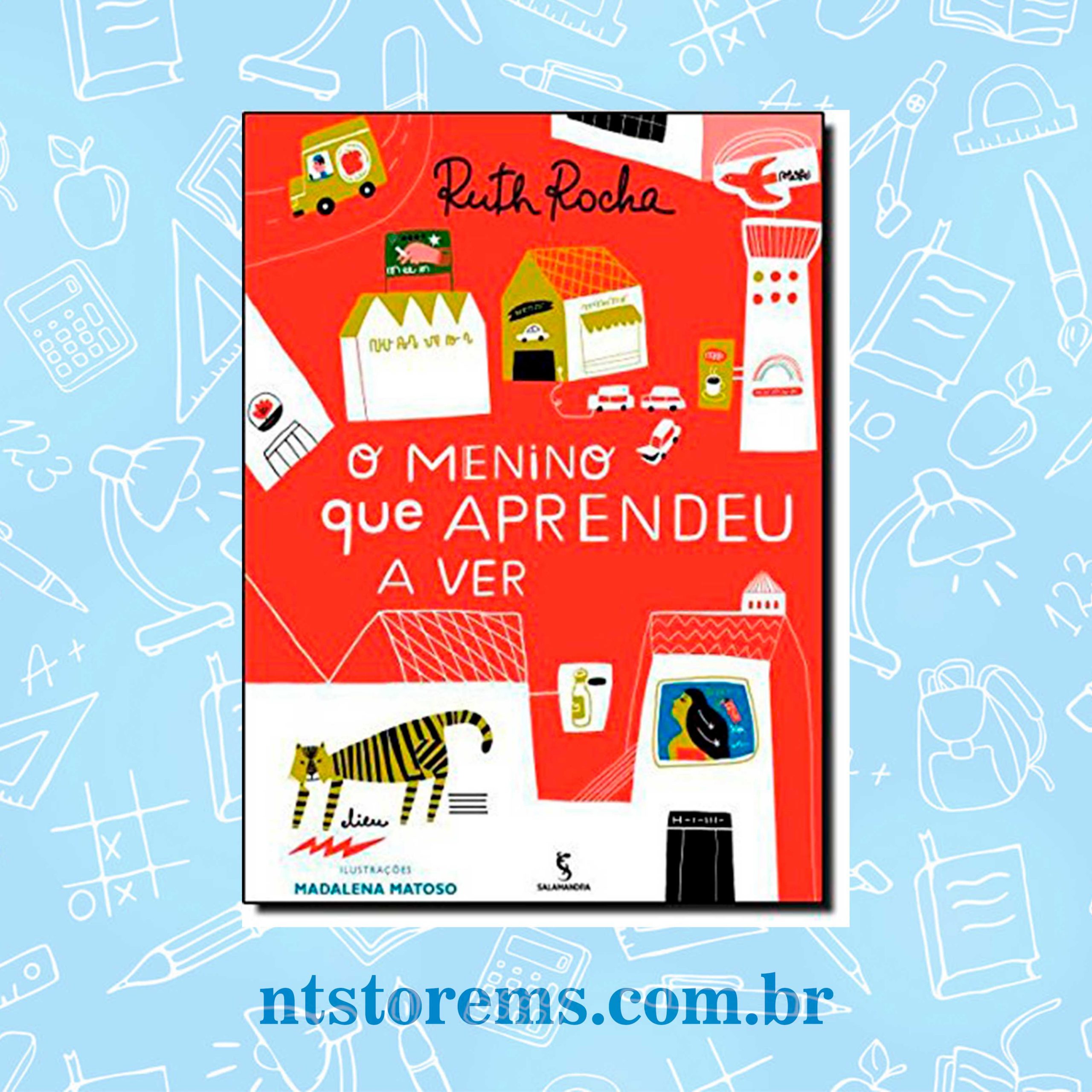 O Menino Que Aprendeu a Ver História de Alfabetização
