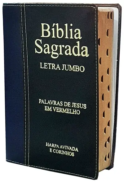 Bíblia Sagrada Letras Jumbo Capa Azul e Preta