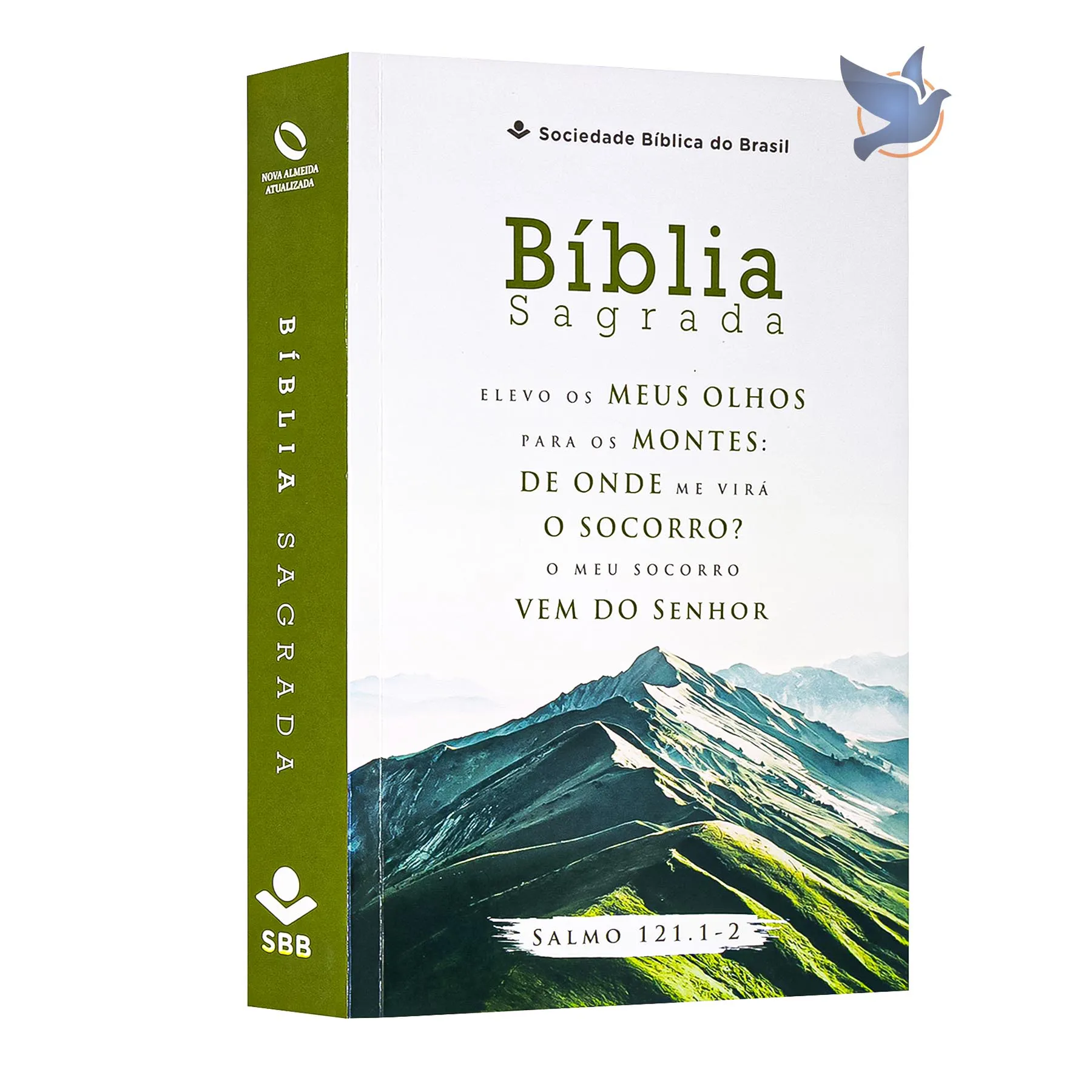 Bíblia Sagrada NAA para Leitura e Devoção