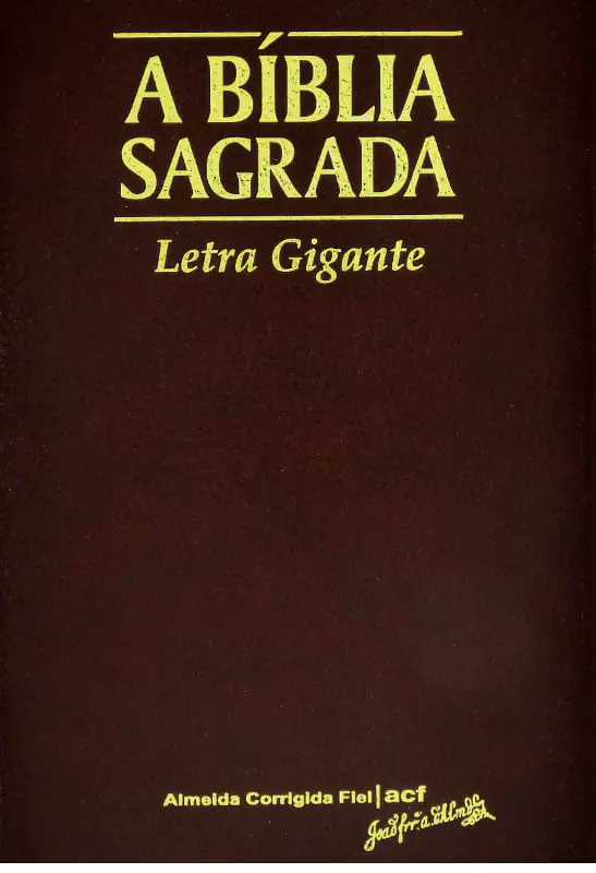 Bíblia Sagrada ACF, Letra Gigante, Luxo, Vinho