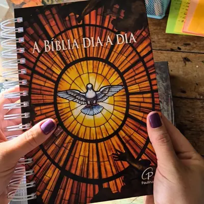 Bíblia Dia a Dia Espiral Espírito Santo Paulinas