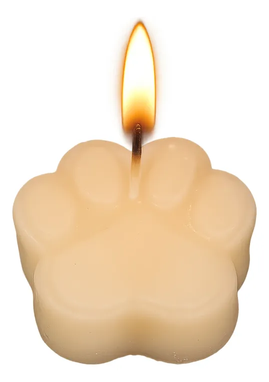 Kit 2 Velas Decorativas Linha Pet 100% Parafina
