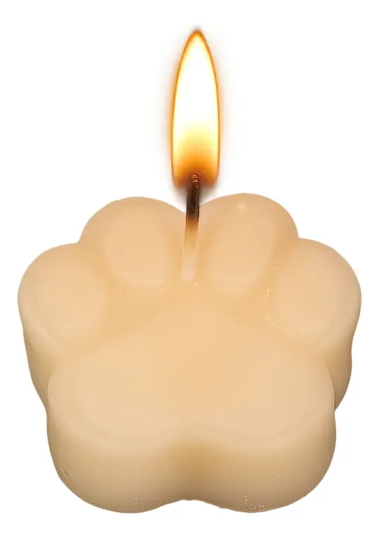 Kit 2 Velas Decorativas Linha Pet 100% Parafina