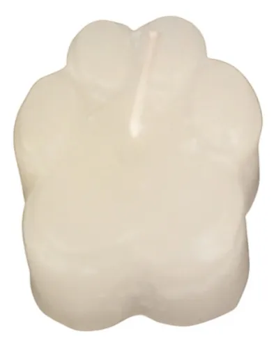 Kit 6 Velas Patinha Branca Para Homenagem Pet