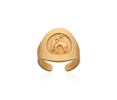 Anel Episcopal Em Prata Ou Banho Dourado Ajustável