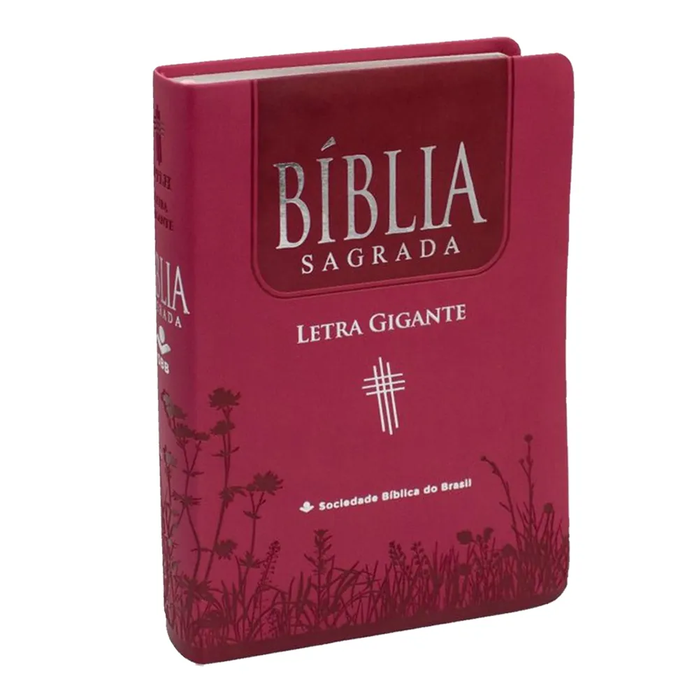 Bíblia NTLH Letra Gigante, Capa Pink: Linguagem de Hoje e Leitura Confortável