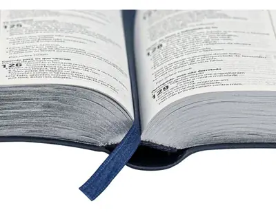 Bíblia Bilíngue Luxo Azul — NAA/ESV