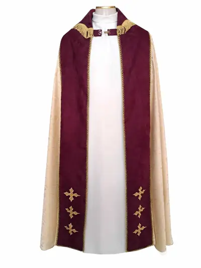 Capa de Asperge Dourada com Galão em Veludo de R$1.950